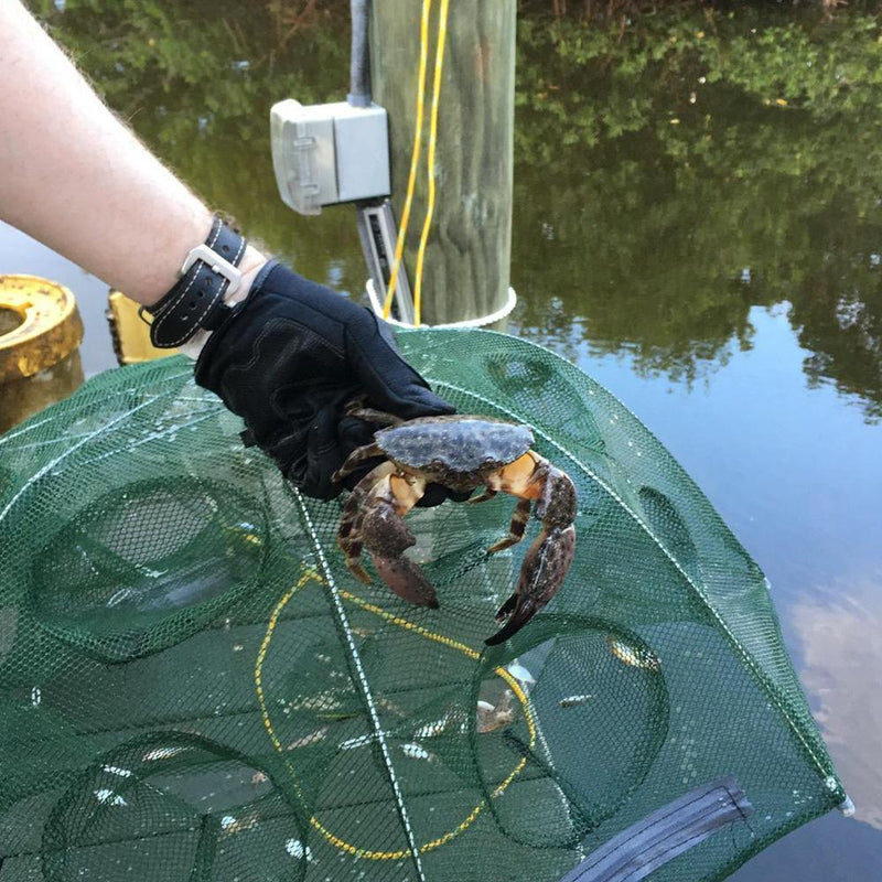 Automatisk sammenleggbar fiskefelle